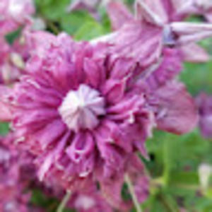 Meet your Posher, Sherry